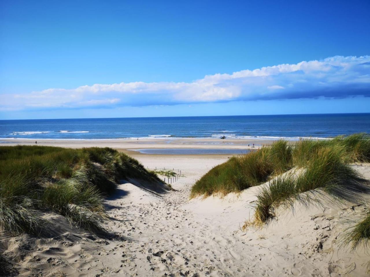 Hotel Corfwater Petten Zewnętrze zdjęcie